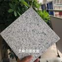 防城港 芝麻白荔枝面干挂