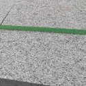 防城港芝麻白荔枝面质量