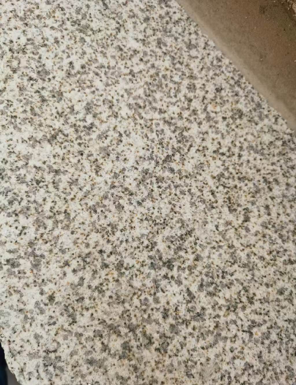 防城港 黄金麻中黄光面
