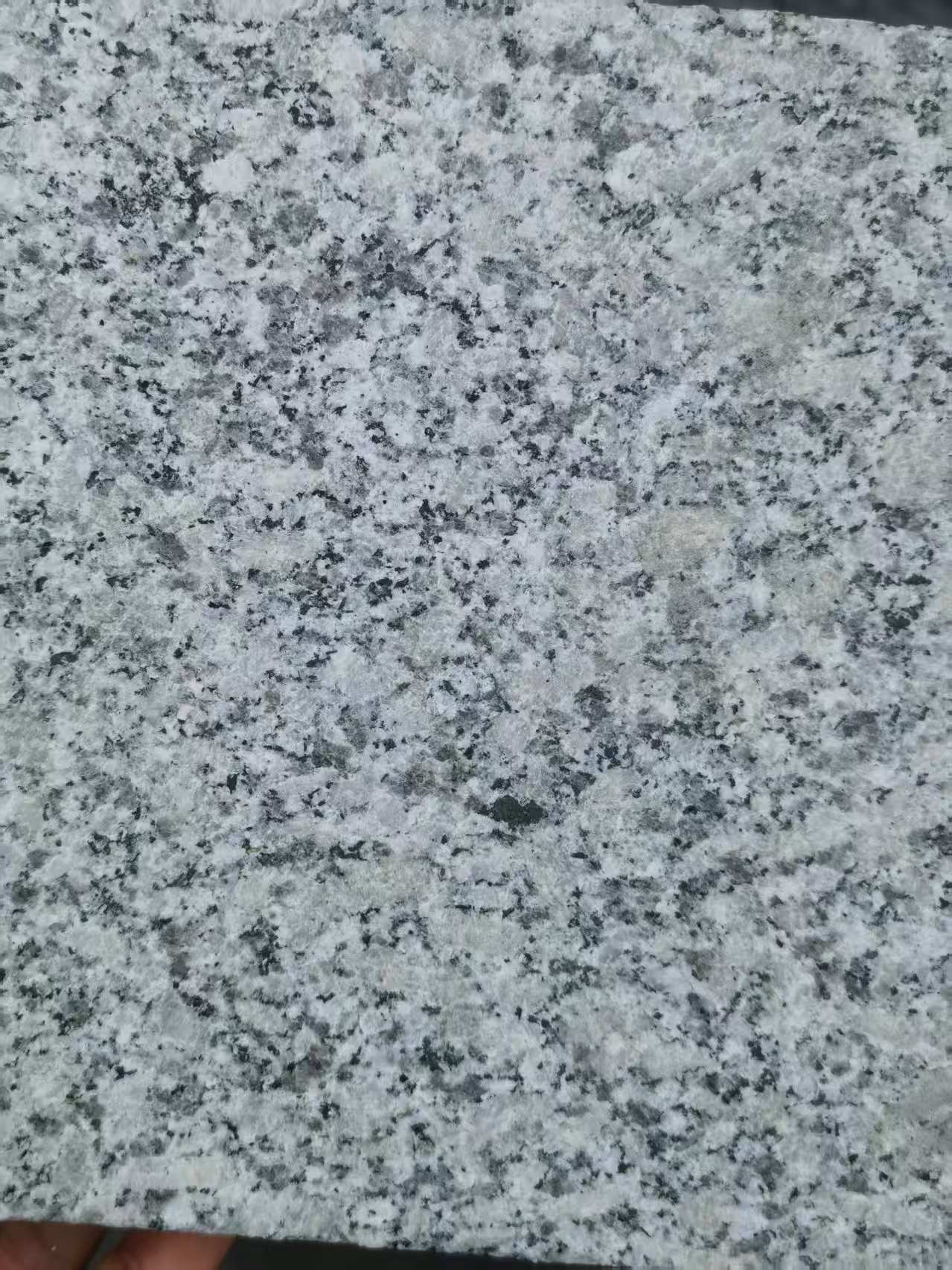 防城港 芙蓉白火烧面