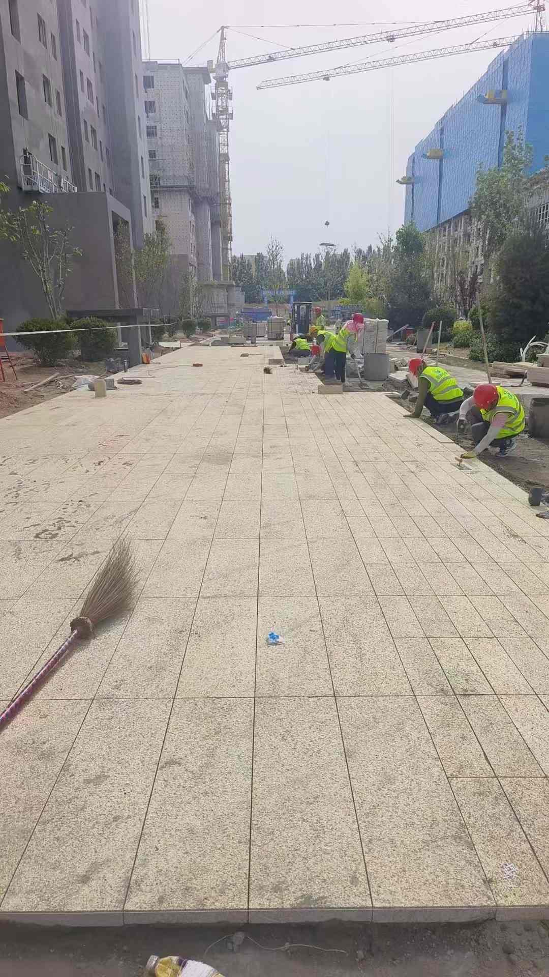 防城港黄金麻荔枝面地铺案例