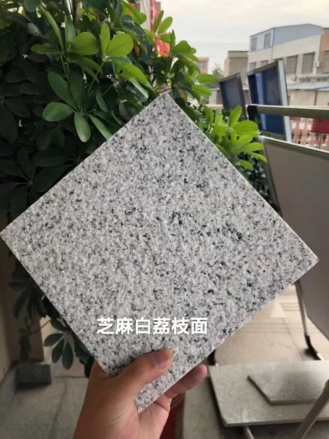 防城港 芝麻白荔枝面干挂